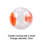 Interactive Hamster Exercise Ball