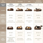 Foldable Bed for Both Humans and Dogs