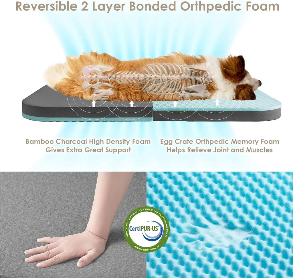 Foldable Bed for Both Humans and Dogs