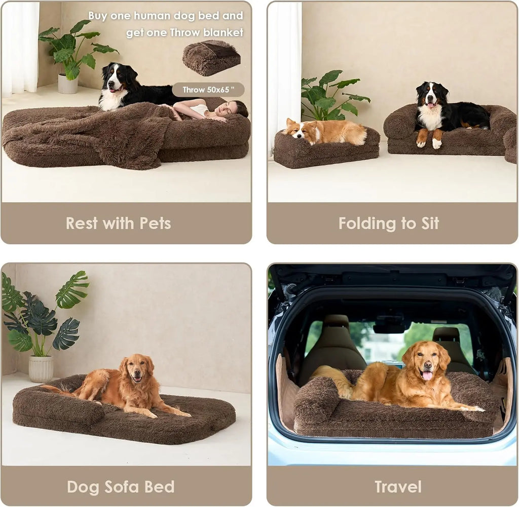 Foldable Bed for Both Humans and Dogs